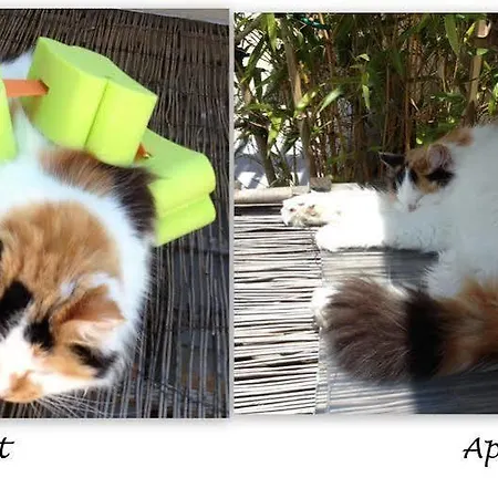 La Truffiere Hotel 2*