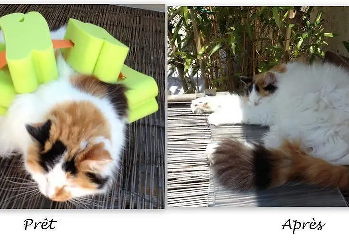 La Truffiere 호텔 2*